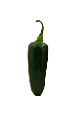 Chile Jalapeño