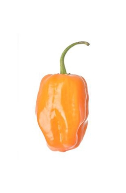 Pimientos Habaneros